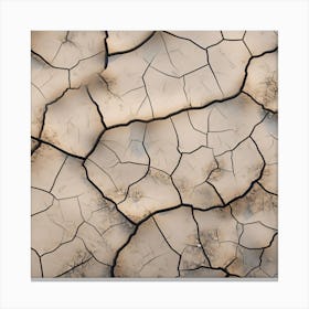 Cracked Dry Land 1 Canvas Print