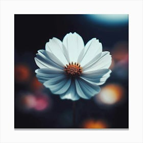 White Flower Canvas Print