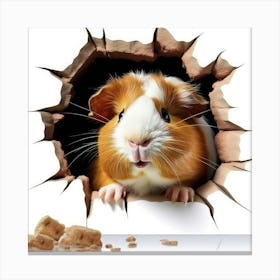 Guinea Pig 20 Canvas Print