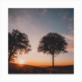 Silhouette Of Trees At Sunset Canvas Print