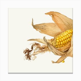 Corn On The Cob Canvas Print