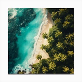 Aerial View Of A Tropical Beach Canvas Print