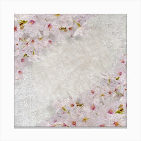 Cherry Blossoms Background Canvas Print