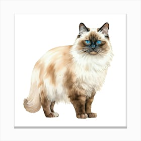 Siamese Cat 4 Canvas Print