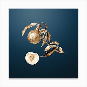 Gold Botanical Peach on Dusk Blue n.2850 Canvas Print