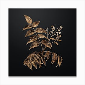 Gold Botanical Tree of Heaven on Wrought Iron Black Canvas Print