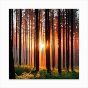 Sunrise In The Forest 28 Canvas Print