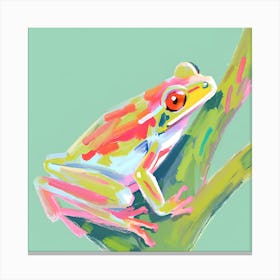 Red Eyed Tree Frog 04 Canvas Print
