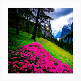 Pink Flowers In The Mountains Canvas Print