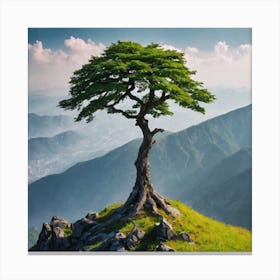 Single Tree On Top Of The Mountain (45) Canvas Print