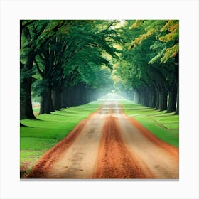 Country Road Canvas Print