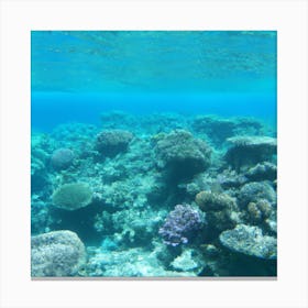 Great Barrier reef 9 Canvas Print