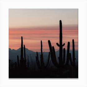 Pink Desert Sunset Square Canvas Print