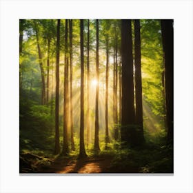 Sunrise In The Forest Canvas Print