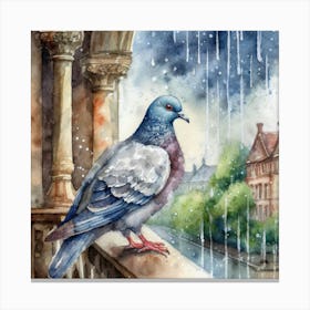 Pigeon In Rain Canvas Print