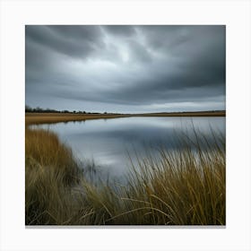 Dark Sky Over Marsh Canvas Print