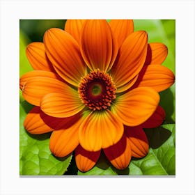 Orange Dahlia Flower Canvas Print