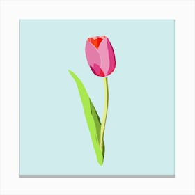 Colourful Tulip Abstract Canvas Print