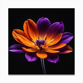 Purple Dahlia Flower Canvas Print