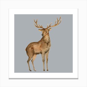 Deer Stag Canvas Print