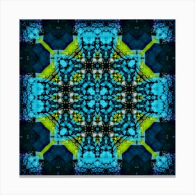 The Symbol Is The Blue And Yellow Pattern Of Ukraine 1 Canvas Print