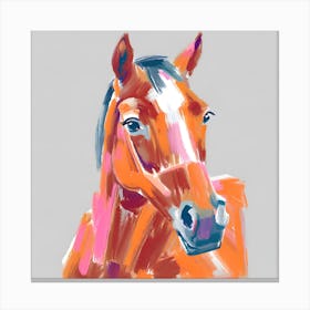 Quarter Horse 02 Canvas Print