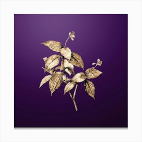 Gold Botanical Tradescantia Erecta on Royal Purple n.3258 Canvas Print