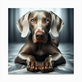 Weimaraner Canvas Print