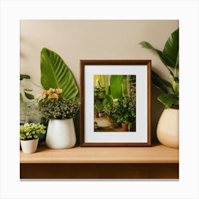 Ferns And Potted Plants Canvas Print