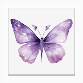 Purple Butterfly Canvas Print