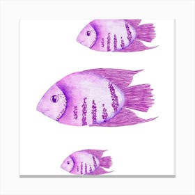 Purple Fish Canvas Print