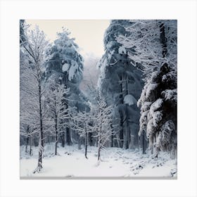 Snowy Forest 2 Canvas Print