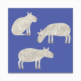 Three Capybara on a Blue Background Canvas Print