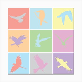 Birds In Flight Canvas Print