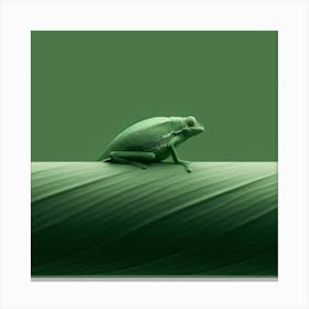 Tree Frog 2 Canvas Print