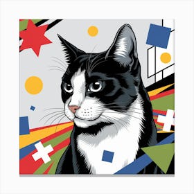 Cat With Stars Canvas Print