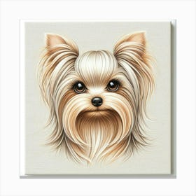 A yorkie female 4 Canvas Print