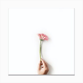 Hand Holding A Flower Canvas Print