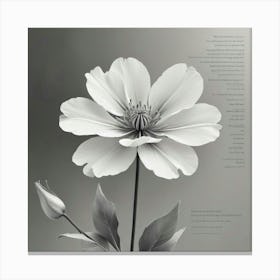 Flower With A Poem Canvas Print