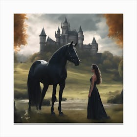 Black Horse Canvas Print