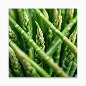 Green Asparagus 1 Canvas Print