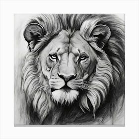 Lion 1 Canvas Print