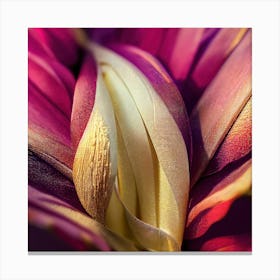 Tulip 3 Canvas Print