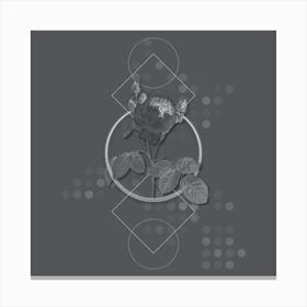 Vintage Pink Cabbage Rose Botanical with Line Motif and Dot Pattern in Ghost Gray Canvas Print