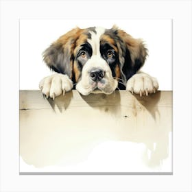 St Bernard Dog 2 Canvas Print