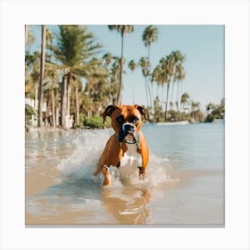 A dog boxer swimming in beach and palm trees 1 Canvas Print