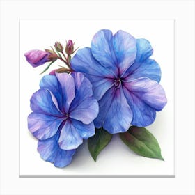 Blue Fuchsia 4 Canvas Print