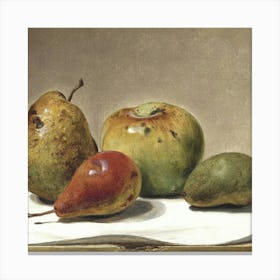 Fruit 10 Canvas Print