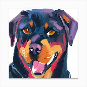 Rottweiler 03 Canvas Print