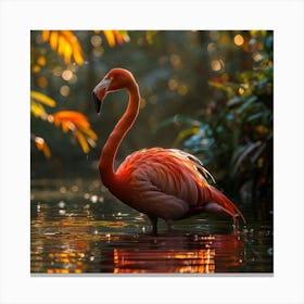 Flamingo 34 Canvas Print